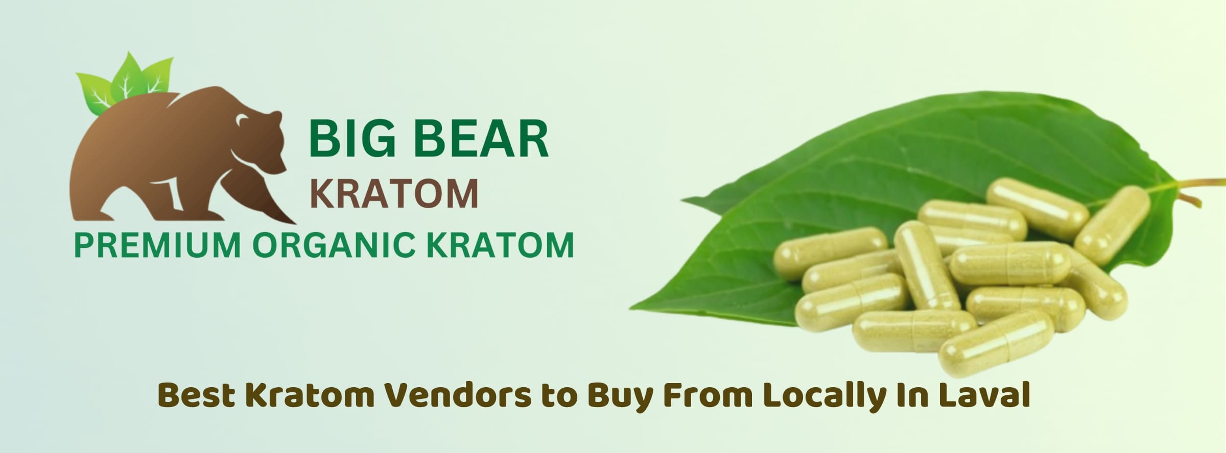 banner of best kratom vendor to buy from loca