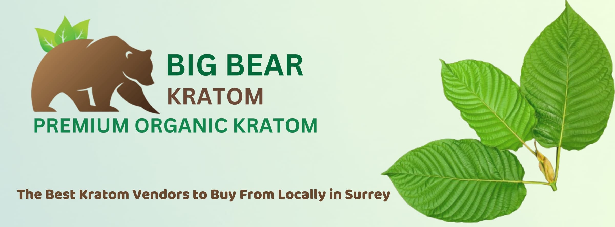 banner of best kratom vendors to buy from locally in surrey