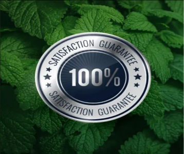 Big Bear Kratom Sourcing Guide