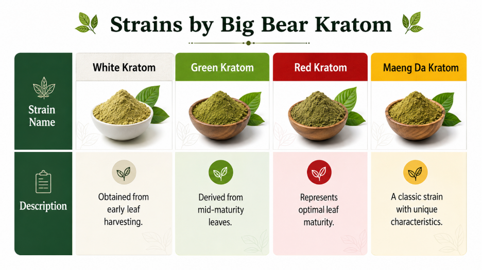 Kratom Strains by Big Bear Kratom