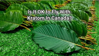 banner of is it okay to fly with kratom in canada